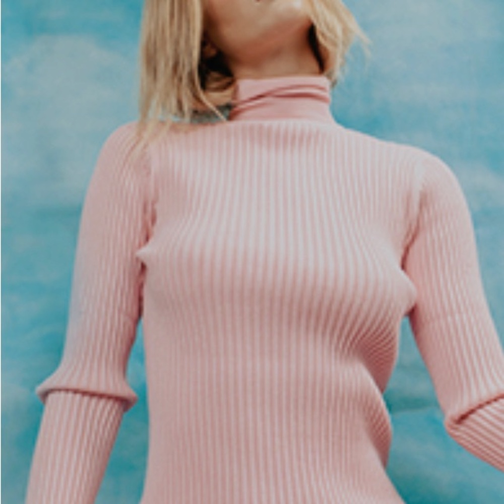 ZARA Long Sleeve Turtleneck